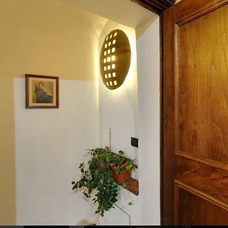 Domus Aurea Saluzzo