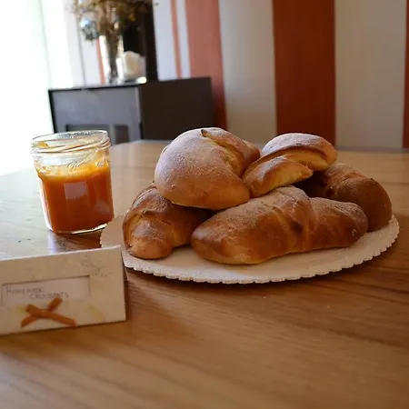 Domus Aurea Салуццо